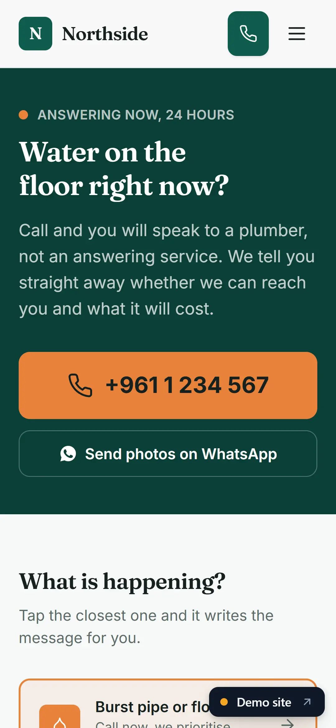 Plumber, electrician or builder