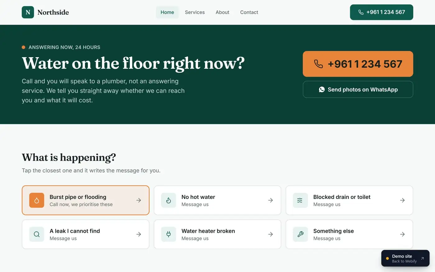 The home page of the Plumber, electrician or builder demo